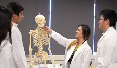 Health Science students & skeleton image